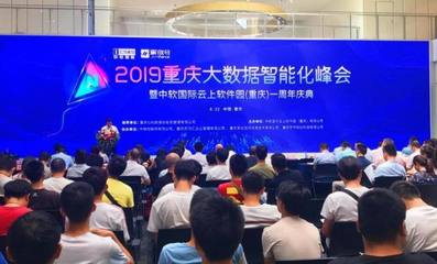 大數據賦能，軟件定義未來 重慶軟件開發企業在智能化浪潮下的機遇與路徑